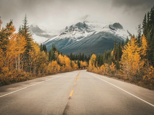 Rocky Mountains, Calgary